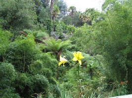 Lost Gardens of Heligan, Cornwall