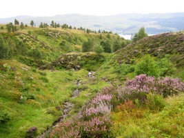 The North West Trossachs - Edramuckie Nature Trail Ben Lawers