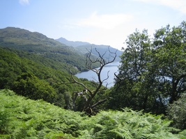 The Trossachs - Inversnsnaid RSPB Reserve Walk